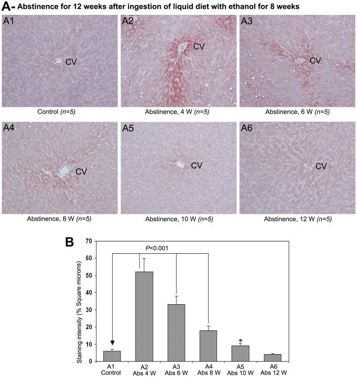 https://cdn.ncbi.nlm.nih.gov/pmc/blobs/909b/3724722/8dcbbe899c80/pone.0070034.g007.jpg