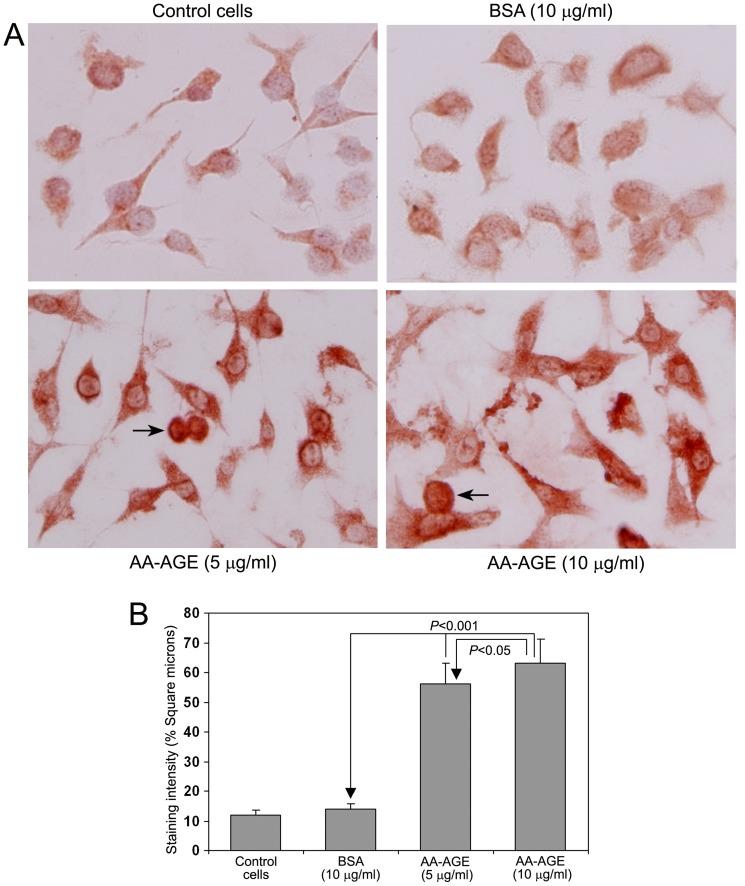 https://cdn.ncbi.nlm.nih.gov/pmc/blobs/909b/3724722/aa2a8805a949/pone.0070034.g009.jpg
