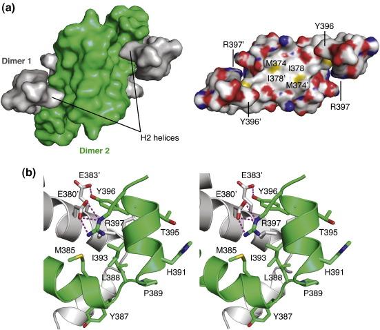 https://cdn.ncbi.nlm.nih.gov/pmc/blobs/909c/3277882/43dbe3f681c0/gr3.jpg