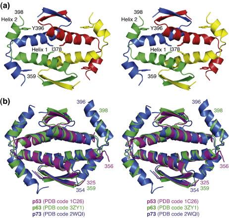 https://cdn.ncbi.nlm.nih.gov/pmc/blobs/909c/3277882/6d43e25f9a2c/gr2.jpg