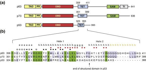 https://cdn.ncbi.nlm.nih.gov/pmc/blobs/909c/3277882/b7019de148a1/gr1.jpg