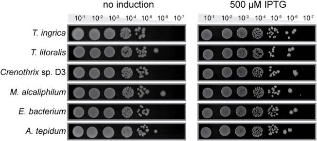 https://cdn.ncbi.nlm.nih.gov/pmc/blobs/909d/10584680/65d16ef3b15c/41586_2023_6622_Fig8_ESM.jpg