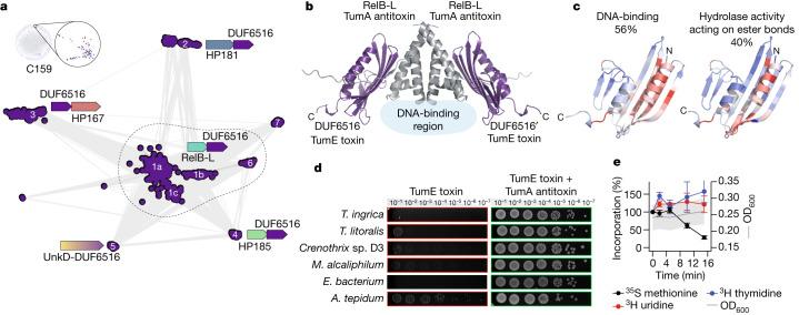 https://cdn.ncbi.nlm.nih.gov/pmc/blobs/909d/10584680/a3350aefbe36/41586_2023_6622_Fig4_HTML.jpg