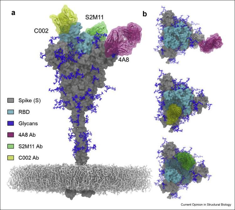 https://cdn.ncbi.nlm.nih.gov/pmc/blobs/909d/9117168/8e732da249df/gr4_lrg.jpg