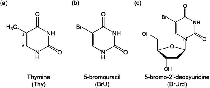 https://cdn.ncbi.nlm.nih.gov/pmc/blobs/909e/11498123/b60439f2581c/d4sc03920c-s1.jpg