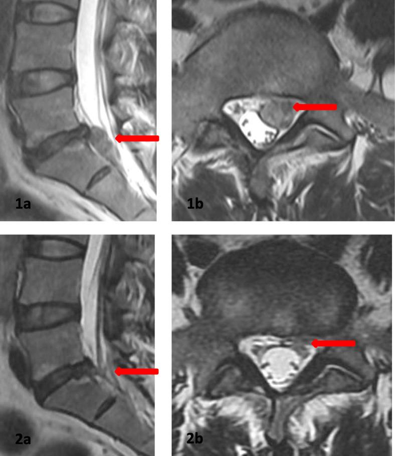 https://cdn.ncbi.nlm.nih.gov/pmc/blobs/909e/7574183/85bf855bf051/12891_2020_3723_Fig3_HTML.jpg
