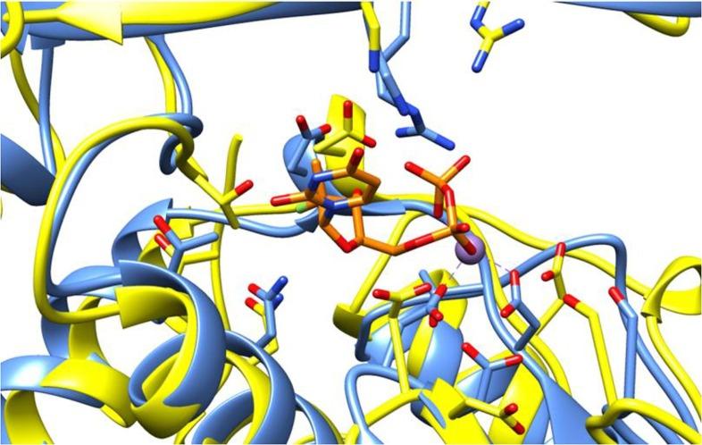 https://cdn.ncbi.nlm.nih.gov/pmc/blobs/909e/7676325/e0a9a1d8fdc6/gr6_lrg.jpg