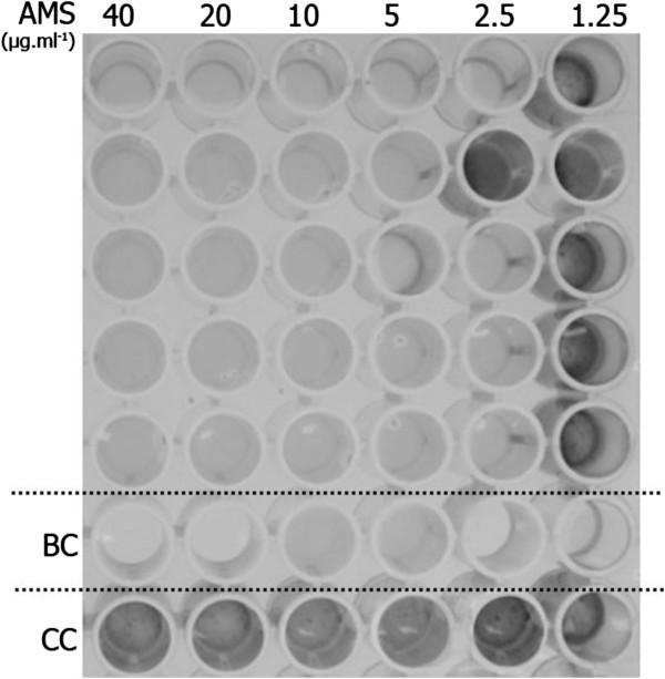 https://cdn.ncbi.nlm.nih.gov/pmc/blobs/909f/3577442/49383227a62c/1471-2180-12-252-4.jpg