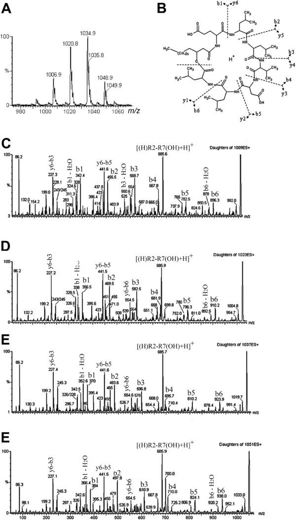 https://cdn.ncbi.nlm.nih.gov/pmc/blobs/909f/3577442/6d26226a63da/1471-2180-12-252-2.jpg