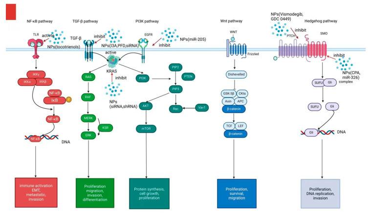 https://cdn.ncbi.nlm.nih.gov/pmc/blobs/90a0/12030228/03bf991359c3/pharmaceutics-17-00449-g003.jpg