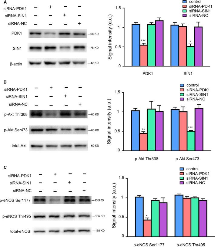 https://cdn.ncbi.nlm.nih.gov/pmc/blobs/90a1/8255840/d329be8953ae/FEB4-11-1953-g001.jpg