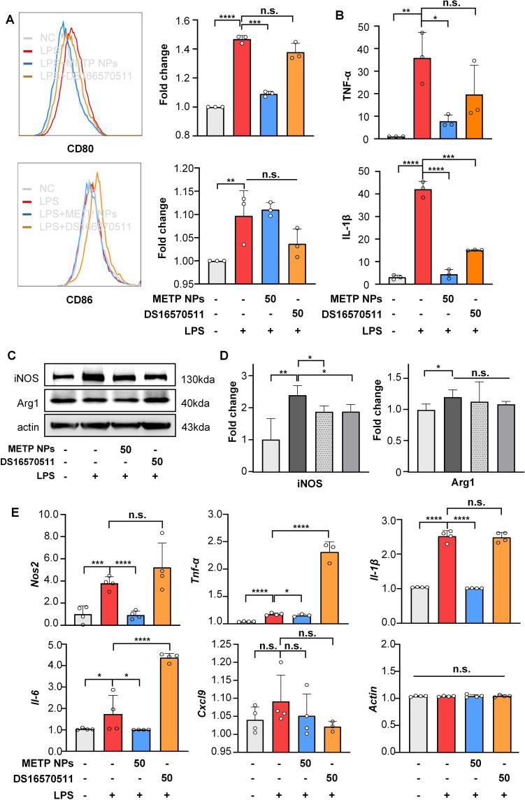 https://cdn.ncbi.nlm.nih.gov/pmc/blobs/90a3/10046163/335393d18318/IJN-18-1469-g0006.jpg