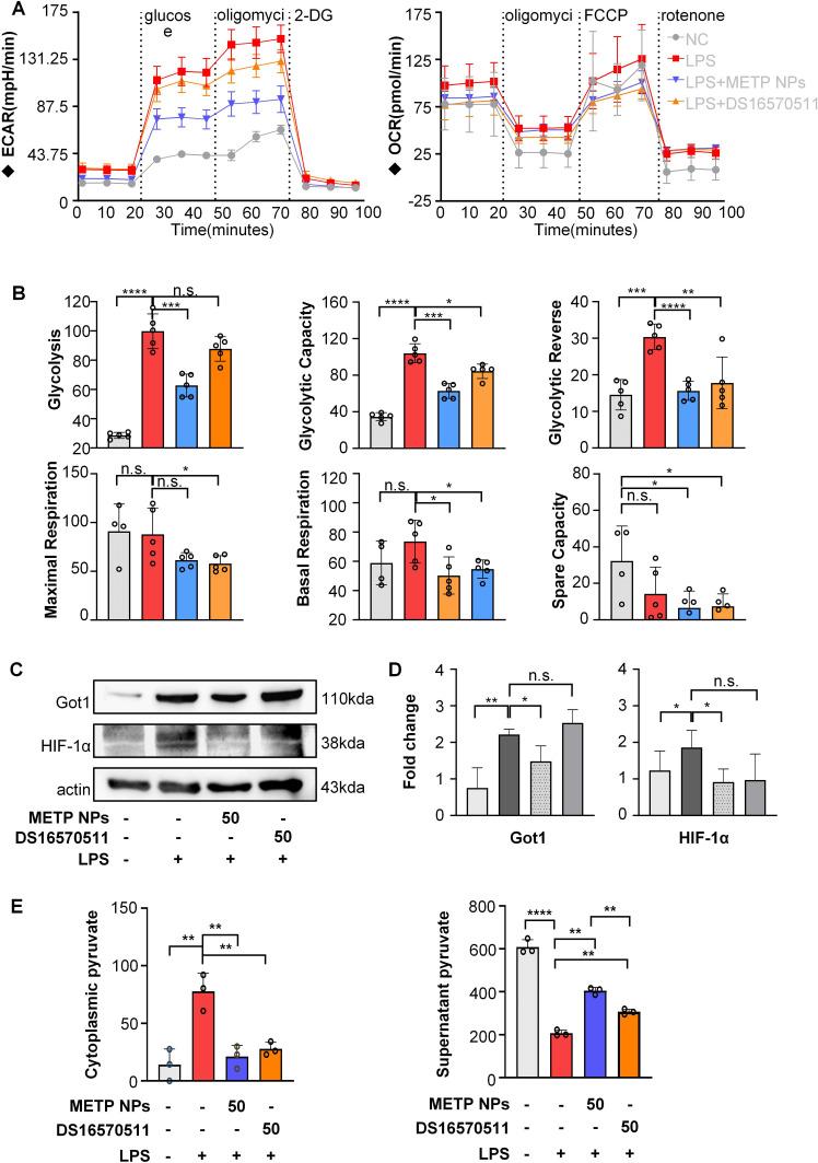 https://cdn.ncbi.nlm.nih.gov/pmc/blobs/90a3/10046163/3c26e32aefa4/IJN-18-1469-g0007.jpg