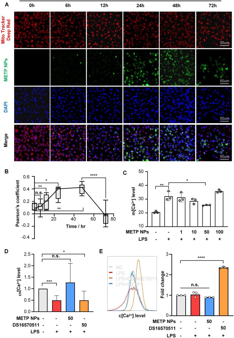 https://cdn.ncbi.nlm.nih.gov/pmc/blobs/90a3/10046163/98152d9d3ae8/IJN-18-1469-g0005.jpg