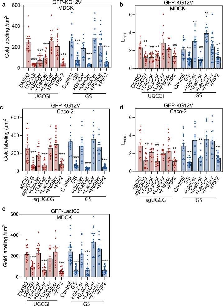 https://cdn.ncbi.nlm.nih.gov/pmc/blobs/90a3/9884228/2b191ff797d8/41467_2023_36128_Fig2_HTML.jpg