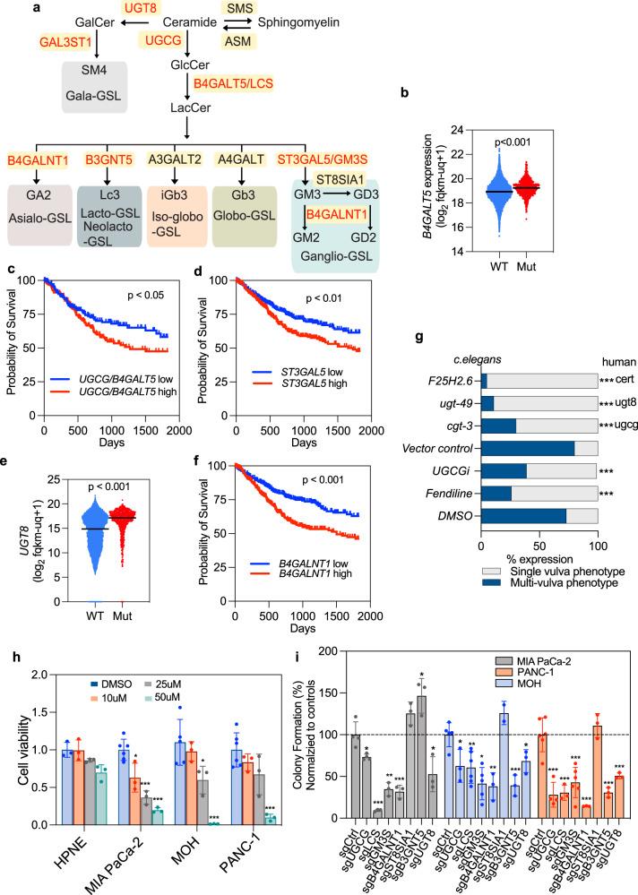 https://cdn.ncbi.nlm.nih.gov/pmc/blobs/90a3/9884228/3af2feca23eb/41467_2023_36128_Fig5_HTML.jpg