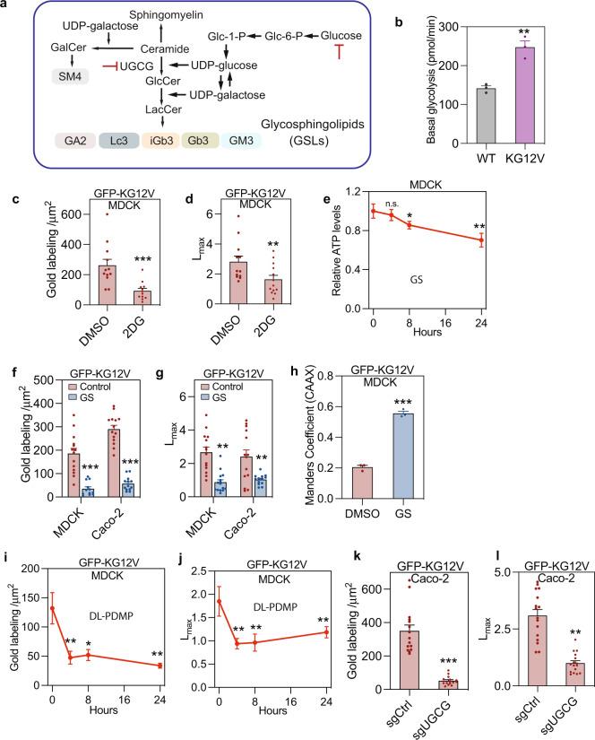 https://cdn.ncbi.nlm.nih.gov/pmc/blobs/90a3/9884228/885cbe9c4281/41467_2023_36128_Fig1_HTML.jpg