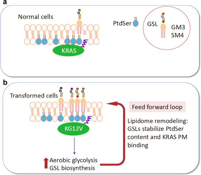 https://cdn.ncbi.nlm.nih.gov/pmc/blobs/90a3/9884228/e1b6ba37c835/41467_2023_36128_Fig7_HTML.jpg