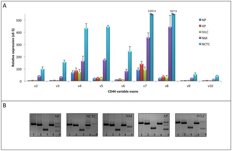 https://cdn.ncbi.nlm.nih.gov/pmc/blobs/90a4/3544768/673b408d80f8/pone.0053883.g006.jpg