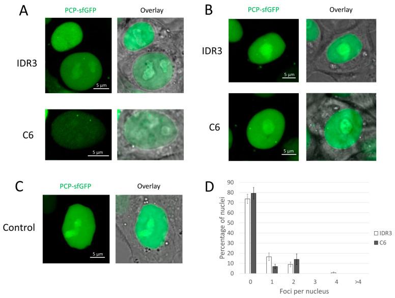 https://cdn.ncbi.nlm.nih.gov/pmc/blobs/90a5/11394217/39250c8364f2/cells-13-01440-g002.jpg