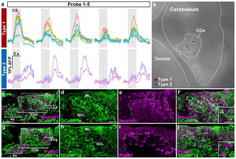 https://cdn.ncbi.nlm.nih.gov/pmc/blobs/90a8/5605521/7f23febce937/41598_2017_10794_Fig6_HTML.jpg