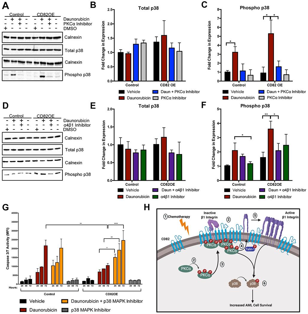 https://cdn.ncbi.nlm.nih.gov/pmc/blobs/90aa/7210072/cb2756077128/nihms-1572780-f0007.jpg