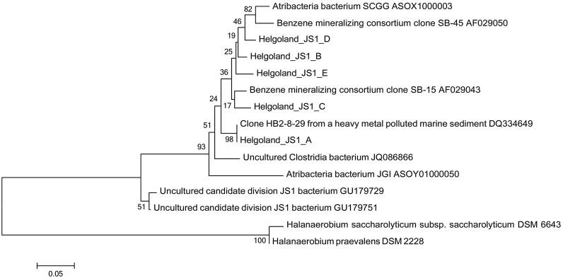 https://cdn.ncbi.nlm.nih.gov/pmc/blobs/90ac/4416451/6acc28a6638b/fmicb-06-00365-g008.jpg