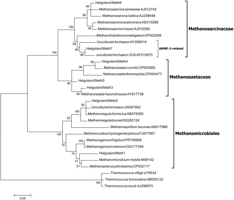 https://cdn.ncbi.nlm.nih.gov/pmc/blobs/90ac/4416451/c5abe0200d26/fmicb-06-00365-g009.jpg