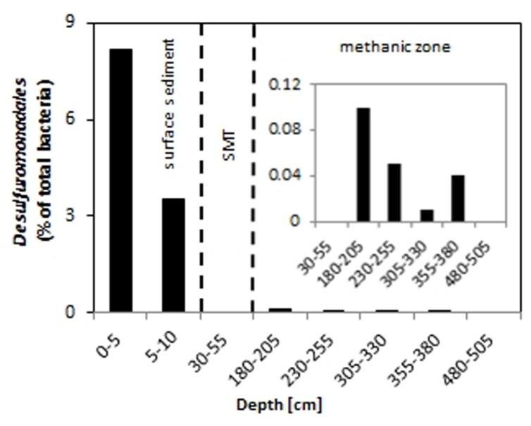 https://cdn.ncbi.nlm.nih.gov/pmc/blobs/90ac/4416451/c965f11f4ec6/fmicb-06-00365-g005.jpg