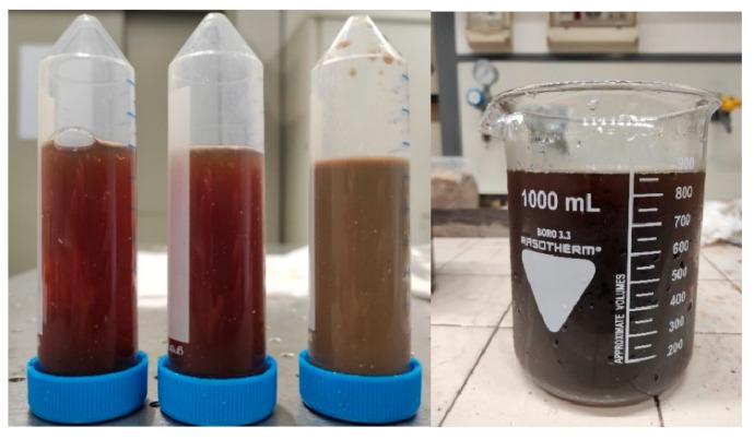 https://cdn.ncbi.nlm.nih.gov/pmc/blobs/90ad/10890137/6cd84521b0da/membranes-14-00038-g005.jpg