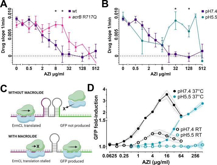 https://cdn.ncbi.nlm.nih.gov/pmc/blobs/90ae/12131866/d41980b1fe99/spectrum.02385-24.f002.jpg