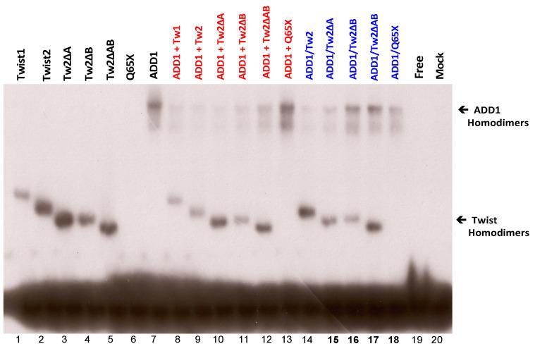 https://cdn.ncbi.nlm.nih.gov/pmc/blobs/90b3/10530651/36ddb0dc5a97/genes-14-01733-g009.jpg