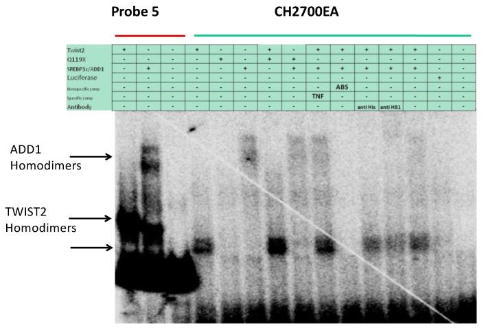 https://cdn.ncbi.nlm.nih.gov/pmc/blobs/90b3/10530651/9898e886460f/genes-14-01733-g004.jpg