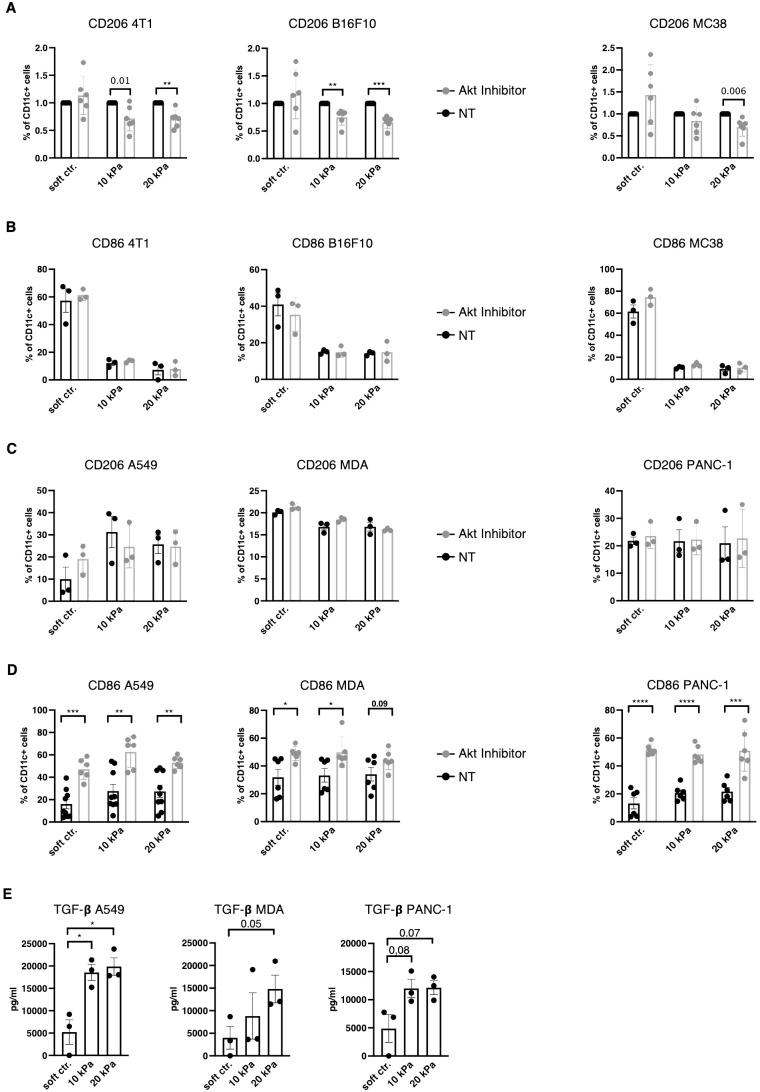 https://cdn.ncbi.nlm.nih.gov/pmc/blobs/90b3/11358102/1930884e6796/fimmu-15-1434030-g006.jpg