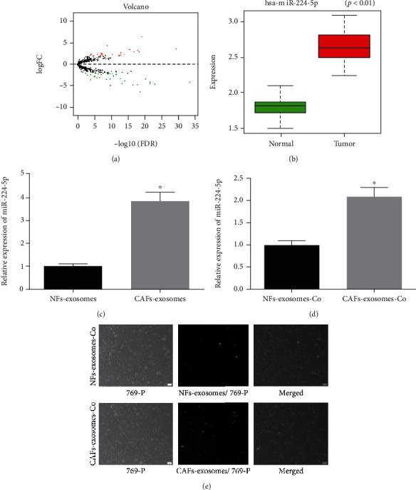 https://cdn.ncbi.nlm.nih.gov/pmc/blobs/90b3/8169240/1fdf98b245a5/CMMM2021-5517747.003.jpg