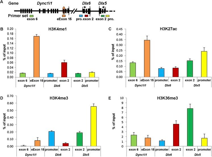 https://cdn.ncbi.nlm.nih.gov/pmc/blobs/90b4/3371700/197b9bd149b8/1059fig3.jpg