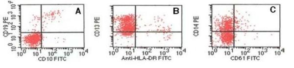 https://cdn.ncbi.nlm.nih.gov/pmc/blobs/90b5/2783110/7ad6d3923bc7/1757-1626-2-154-2.jpg