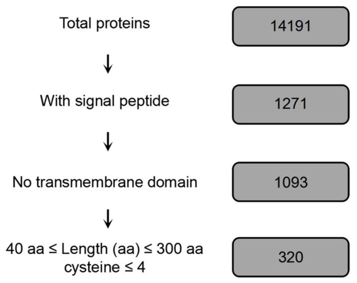 https://cdn.ncbi.nlm.nih.gov/pmc/blobs/90b5/7826910/5b60353eb473/ijms-22-00552-g001.jpg