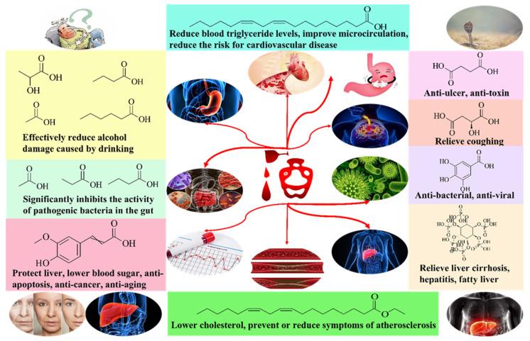 https://cdn.ncbi.nlm.nih.gov/pmc/blobs/90b5/9562207/6ded98bf1656/foods-11-02959-g002.jpg