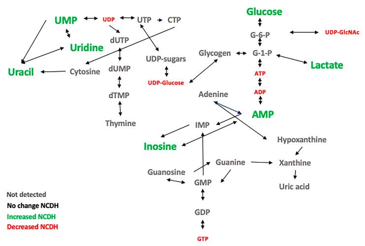 https://cdn.ncbi.nlm.nih.gov/pmc/blobs/90b6/8003001/5bc5cf86d63b/metabolites-11-00177-g006.jpg