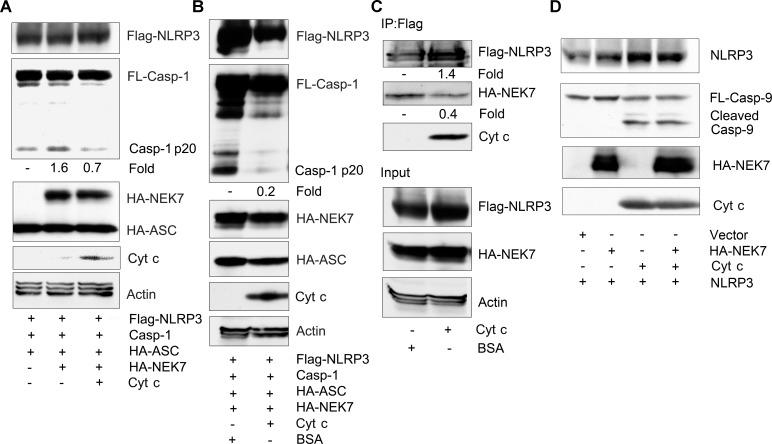 https://cdn.ncbi.nlm.nih.gov/pmc/blobs/90b7/5193325/93e1b12a9087/pone.0167636.g005.jpg