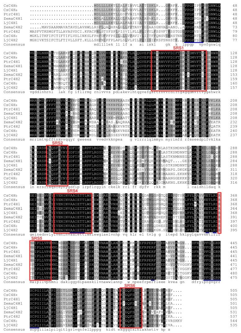 https://cdn.ncbi.nlm.nih.gov/pmc/blobs/90b7/5575657/ab400c35f8e0/genes-08-00193-g003.jpg