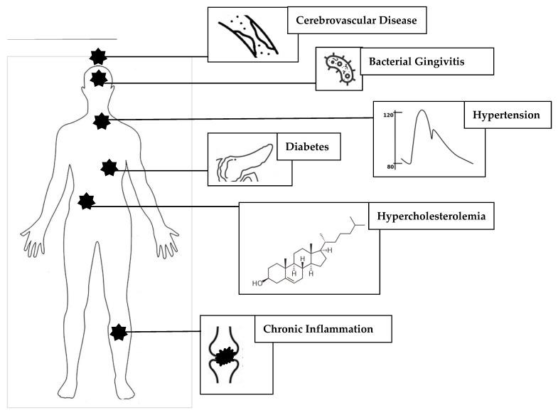 https://cdn.ncbi.nlm.nih.gov/pmc/blobs/90b8/10813027/1ac1f278f7ee/brainsci-14-00041-g002.jpg