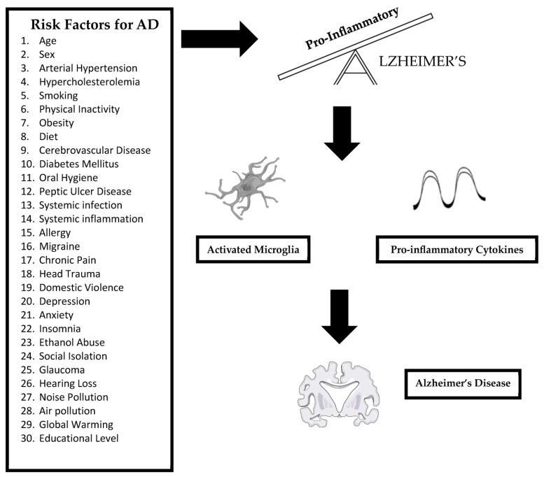 https://cdn.ncbi.nlm.nih.gov/pmc/blobs/90b8/10813027/4a2fe8942949/brainsci-14-00041-g001.jpg