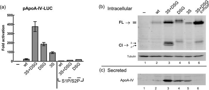 https://cdn.ncbi.nlm.nih.gov/pmc/blobs/90ba/5449154/4b0bcae9f9ab/1565fig9.jpg