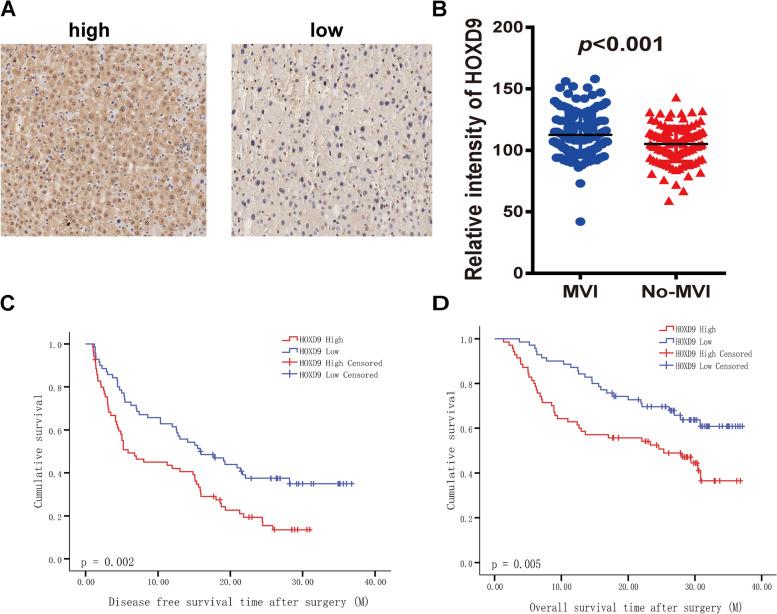 https://cdn.ncbi.nlm.nih.gov/pmc/blobs/90ba/8675478/5e347d50d1b5/12885_2021_9047_Fig6_HTML.jpg