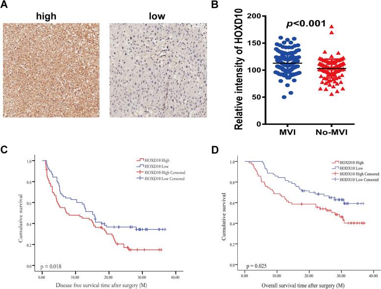 https://cdn.ncbi.nlm.nih.gov/pmc/blobs/90ba/8675478/d6870d9a2df5/12885_2021_9047_Fig7_HTML.jpg