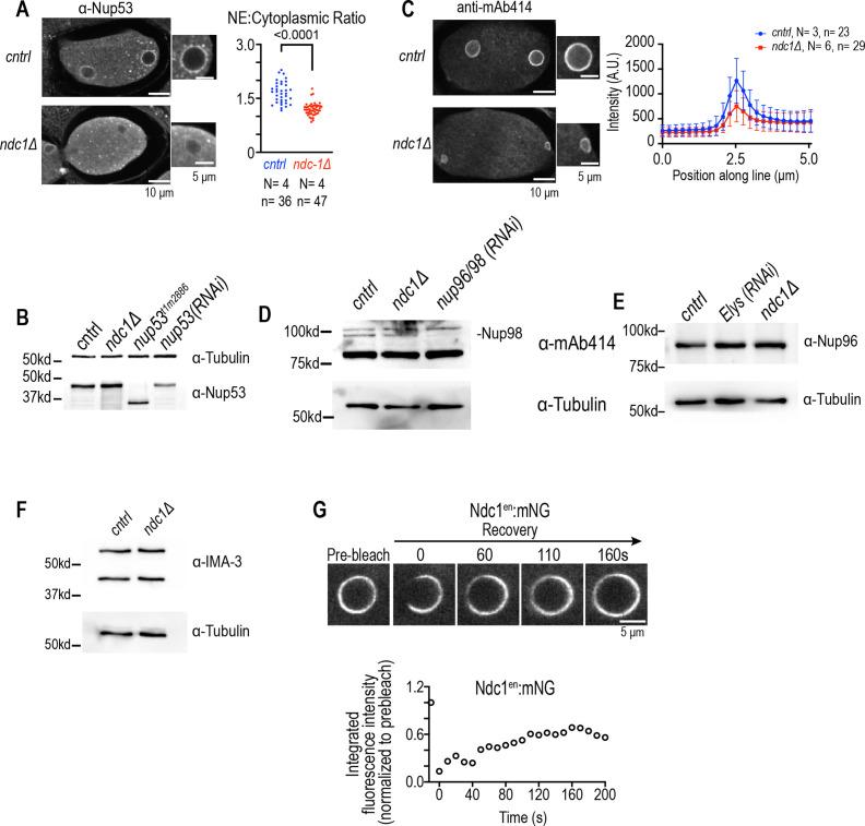 https://cdn.ncbi.nlm.nih.gov/pmc/blobs/90bd/9296133/42a87260f59c/elife-75513-fig3-figsupp2.jpg