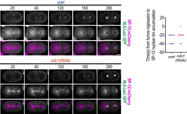 https://cdn.ncbi.nlm.nih.gov/pmc/blobs/90bd/9296133/98442f30f67d/elife-75513-sa2-fig1.jpg