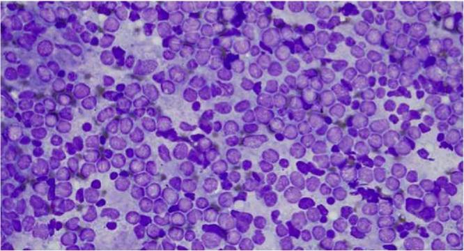 https://cdn.ncbi.nlm.nih.gov/pmc/blobs/90be/5857486/94ce0ceb3b52/gr3.jpg
